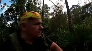 If a Tree Was Torn Out of the ground, was Skunk Ape warning you off?