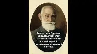 I глава. Экспериментальная психология и психопатология на животных.