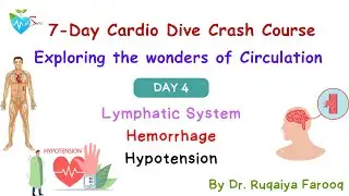 Day 4 Physiology crash course on Circulation Dr Ruqaiya Medsparkles