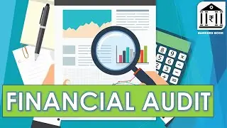 FINANCIAL AUDIT- THE IMPORTANT ASPECTS FOR EFFICIENCY & EFFECTIVENESS.