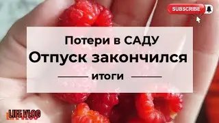 Влог# 501 Жизнь на юге🌞Потери в САДУ😕🍒 Отпуск ЗАКОНЧИЛСЯ! 🚫Подведение ИТОГОВ ✅