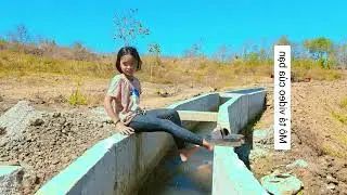 cảnh đồng lúa mồng bảy tết #dazimyunnie