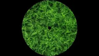 Aguila - I'd Like To Know (White Label Mix)