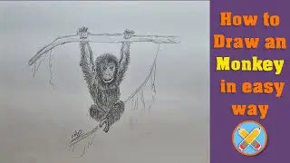 how to draw a monkey