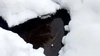очень много раных видео из архива...