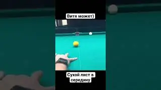 Сухой лист в середину #бильярд #рекомендации #billiard #крыжановский #миронова #сталев #кий