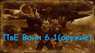 Воин Оружие 6.1(расширенный гайд)