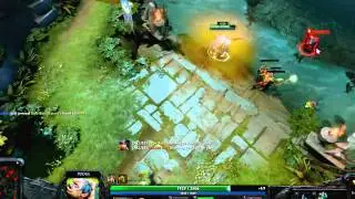 DOTA 2 - Pudge Set mixed