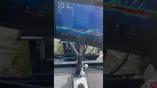 Ушел на свое место 👍🏻