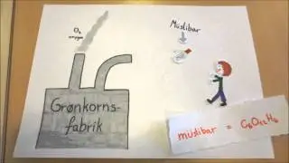 Fotosyntese (stop motion)