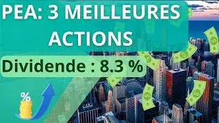 PEA : 3 meilleures actions à dividende 2023