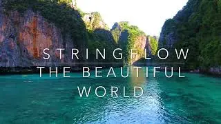 Stringflow - The Beautiful World ❤️ (The End of Covid 19)