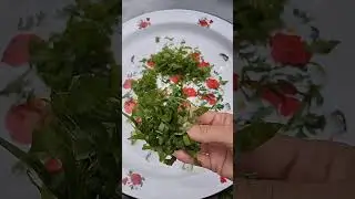 Самая бюджетная заготовка на зиму! #shortsvideo #shorts #топ #заготовкиназиму #деревенскаяжизнь