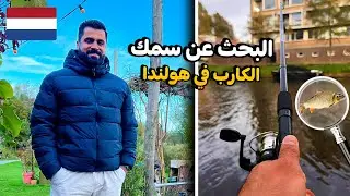 هل يوجد سمك في انهر هولندا