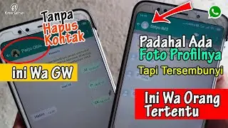 Cara Menyembunyikan Foto Profil WA tanpa Menghapus Kontak