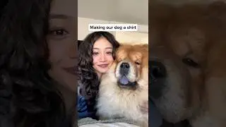 Our dog is bald so I made him a shirt