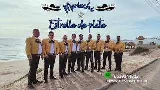 MEP LA LEY DEL MONTE