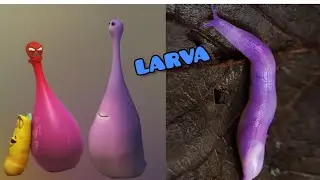 LARVA Characters in REAL LIFE 🔥  | 👉👉