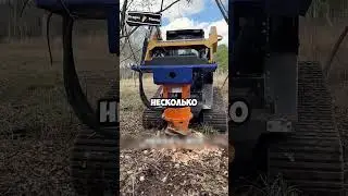 УДИВИТЕЛЬНЫЙ СПОСОБ УДАЛЕНИЯ ПНЕЙ 🤯