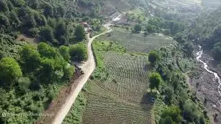 Subatan, Talesh, Gilan, Iran, Summer 2022