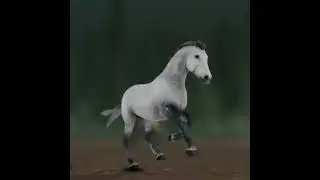 #ssoedit #horse #starstableonlinehorses #edit #horsegame #starstableonlineedit #starstablehorses