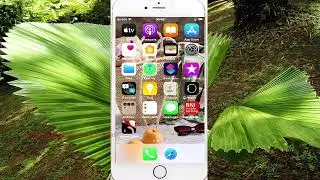 iPhone 7: How to enable or disable temporarily toggle zoom Keyboard shortcuts