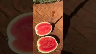 Нарезка 🔪🔥🍉