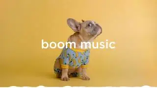 Free Comedy Background Music (No Copyright) | Funny Background Music
