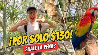 This is the Guadalajara Zoo... Paying the CHEAPER entrance fee 🦁💸