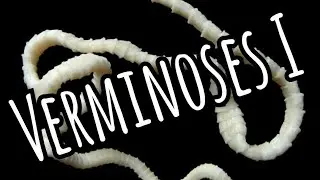 Verminoses I