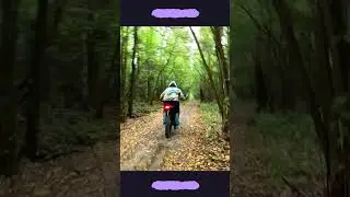 ЭЛЕКТРОБАЙК TALARIA STING TL4000 | ПРЁМ #shorts #прём #'ebike #talariasting #talaria