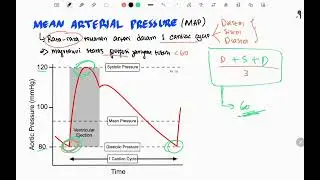 Konsep Mean Arterial Pressure (MAP) dan Manajemen Syok