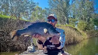 Yellowbelly Fishing | Murray River