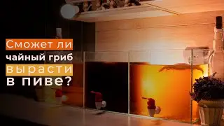 WHAT HAPPENED TO THE ENDLESS SODA? + NEW EXPERIMENT