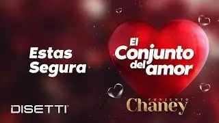 Conjunto Chaney - Estas Segura | Salsa Romantica con Letra