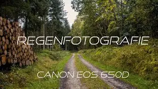 Waldfotografie im Regen mit der Canon Eos 650D geht das?