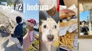 BODRUM VLOG #2 | DERS SEÇİMİ, SON DÖNEM, LEO KUAFÖRDE...