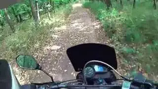 Тайные тропы3