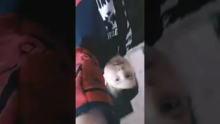 гжч