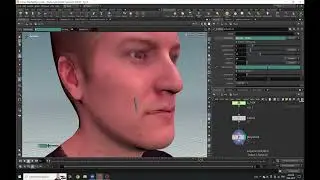 How To Cry Like a Professional || Houdini Tutorial || Part 1