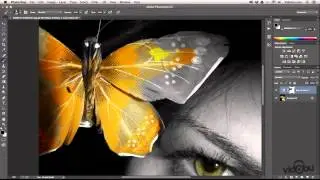 Photoshop: Maske kullanımı - Brush Tool ile Düzenleme Yapmak