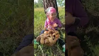 Юный грибник #ЯжеВика