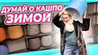 ВЛОГ | контрасты жизни | дружба | кашпо | ТРИ НаТаши