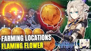 How To Find Stacks of Flaming Flowers Genshin Impact Locations Guide