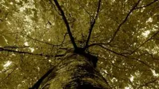 Vargrimm - lied der walküre (akustisch)