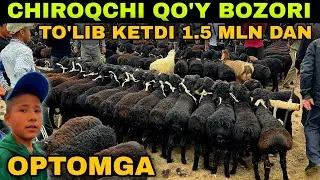 CHIROQCHI MOL BOZORI QO'Y-QO'ZI NARXLARI 16 APREL 2025 Чирокчи мол бозори 2025