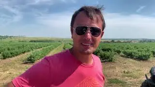 Подмосковье с Артуром Мовсисяном, руководителем КФХ ИП Мовсисян и автором блога «Модный фермер»