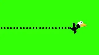 Crow flying | Green screen effects