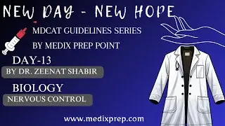 Day 13 | Top in MDCAT | Biology - Nervous Control | MDCAT Guidelines | New Day - New Hope
