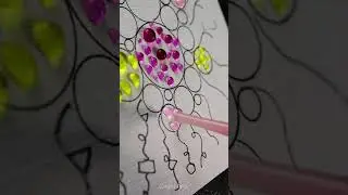 colorful circular drawings waterdrops #shorts #satisfying #art